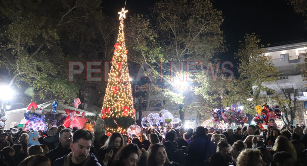 Το Χριστουγεννιάτικο Δέντρο Άναψε στη Σκύδρα (Φωτογραφίες/βίντεο)