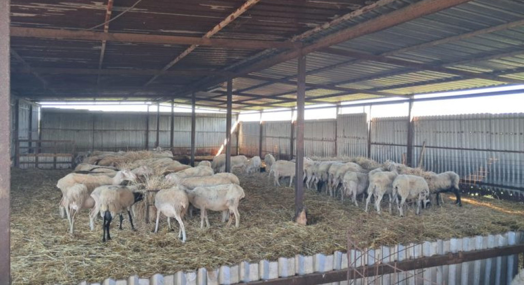 Επικαιροποιημένα συγκεντρωτικά στοιχεία για την πορεία της ευλογιάς στη χώρα (εβδομάδα αναφοράς 24-30 Νοεμβρίου)