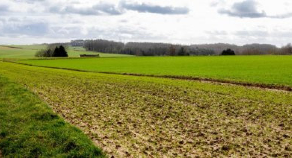 Τροποποιήθηκαν οι κανόνες για οργώματα στα πλαίσια της αιρεσιμότητας της νέας ΚΑΠ από το ΟΣΔΕ 2025