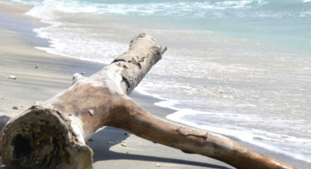 Ωκεανοί... SOS: Η Μεσόγειος ένα από τα κύρια hotspot του κόσμου - Η τριπλή πλανητική κρίση