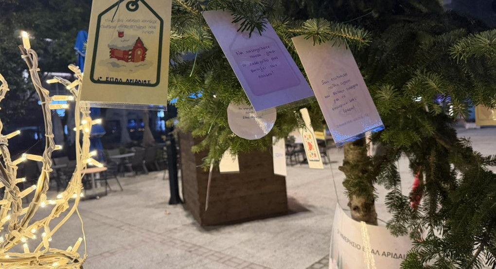 1o ΕΠΑΛ Αριδαίας «Νίκανδρος Παπαϊωάννου»  «Το Δέντρο των Ευχών»