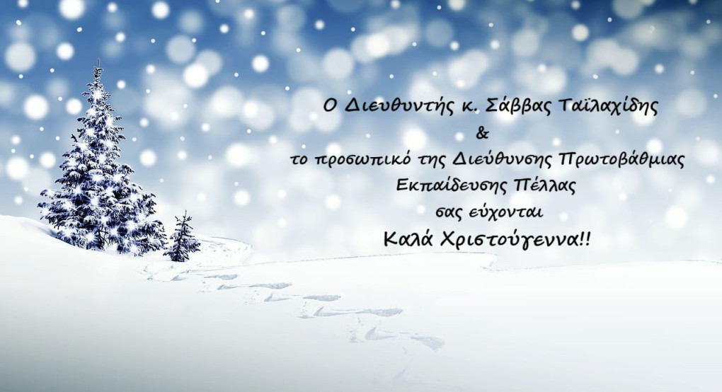 Χριστουγεννιάτικες Ευχές από τον Διευθυντή Πρωτοβάθμιας Εκπαίδευσης Πέλλας κ. Σάββα Ταϊλαχίδη