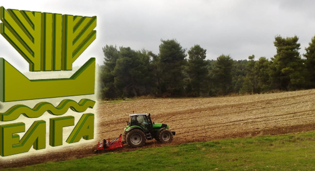 ΕΛΓΑ: 35,1 εκατ. ευρώ προκαταβολή ενισχύσεων για ζημιές φυτικού κεφαλαίου-Αφορούν καταστροφές από τον Daniel και Elias και από πυρκαγιές σε Έβρο, Καβάλα και Φθιώτιδα