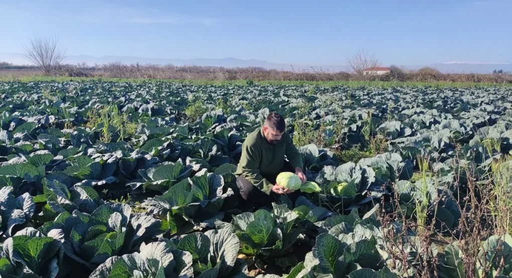 Νέοι αγρότες στα μπλόκα: «Αν φύγουμε από τα χωράφια μας θα σβήσει η επαρχία»
