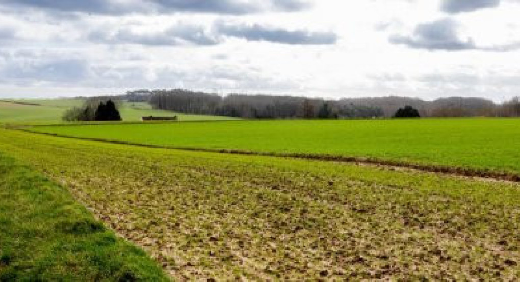 Εν αναμονής εγκυκλίου οι πληρωμές αγροτεμαχίων έως 20 στρεμμάτων με προβλήματα λόγω ΚΑΕΚ