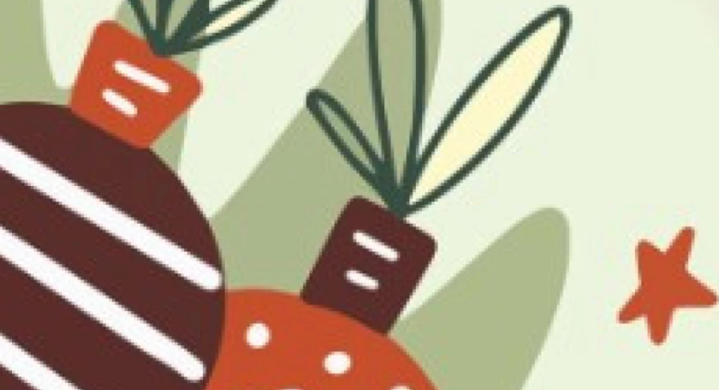 Χριστουγεννιάτικη μουσική εκδήλωση στην Έδεσσα