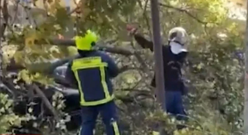 Θυελλώδεις άνεμοι σαρώνουν τη Θεσσαλονίκη – Εκατοντάδες πτώσεις δέντρων και καταστροφές