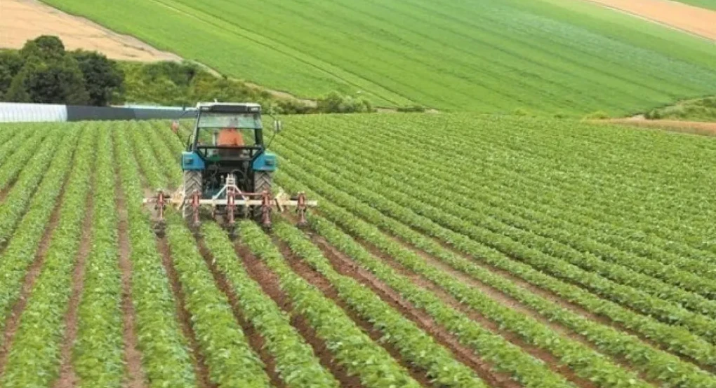 Πληρωμές 3,8 δις για τους αγρότες το 2025 μέσω ΟΠΕΚΕΠΕ, Κρατικού Προϋπολογισμού και ΕΛΓΑ