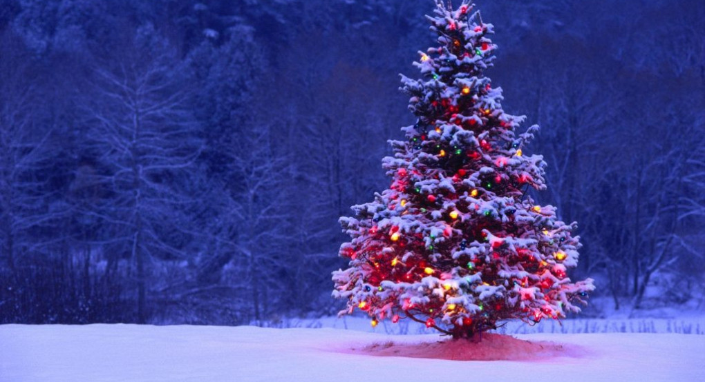 Μαρουσάκης: Χριστούγεννα με βροχές και χιόνια στα ορεινά -Πιο χειμωνιάτικη η Πρωτοχρονιά