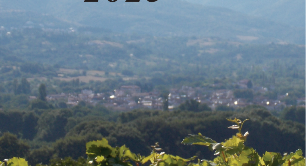 Αυξάνεται η δυναμική του Αμπελώνα του Κιλκίς - Έκδοση της ΔΑΟΚ Π.Ε. Κιλκίς για τα "χαρακτηριστικά" , την πορεία και τη θετική προοπτική της αμπελοκαλλιέργειας