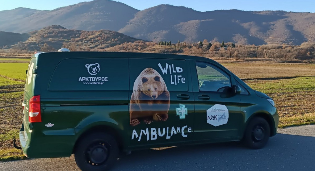 Ο «Αρκτούρος» απέκτησε το πρώτο ασθενοφόρο για άγρια θηλαστικά -Η ανακοίνωση
