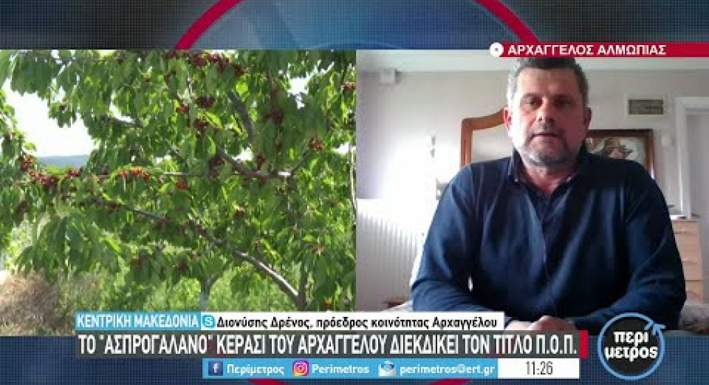 Αντιπαράθεση για την εκπροσώπηση των αγροτών – Τζαμτζής στην κυβέρνηση για στήριξη, διάψευση από Δρένο: «Τεράστιο ψέμα, ήμουν παρών»