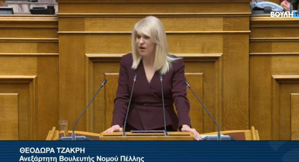 Θ. Τζάκρη - Τοποθέτηση στη Βουλή για το νομοσχέδιο για τις ένοπλες δυνάμεις