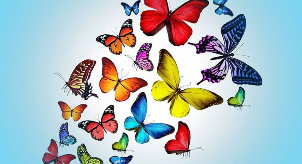 Στο Ράδιο Θεσσαλονίκη 94,5 το αίτημα για Προαστιακό Σιδηρόδρομο σε Ημαθία και Πέλλα