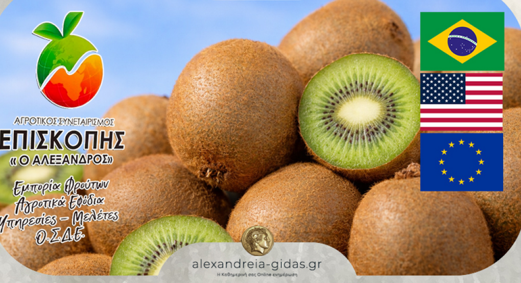 Τα ακτινίδια του Α.Σ. Επισκοπής το 2026 συνεχίζουν την πορεία προς Βραζιλία, Αμερική και Ευρώπη!