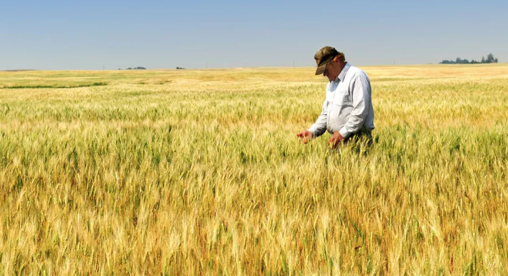 Για μια αναγεννητική αγροτική ύπαιθρο