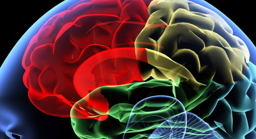 Γιατρός προειδοποιεί: Αυτή είναι η καθημερινή συνήθεια που βλάπτει την υγεία του εγκεφάλου