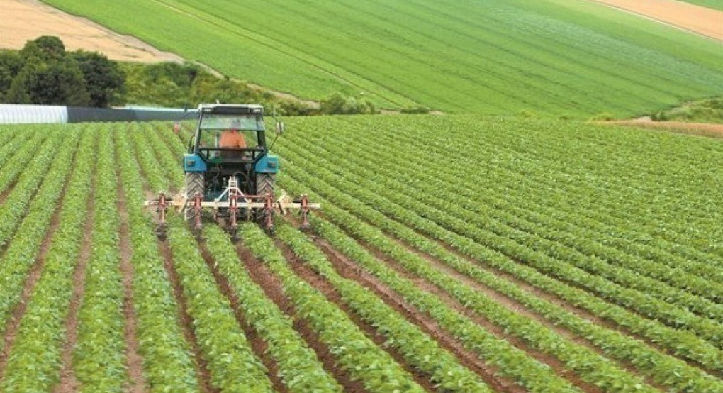 Χρηματοδότηση από 10.000 έως 3,5 εκατ. ευρώ φέρνουν τα νέα εργαλεία της ΚΑΠ για αγρότες και επιχειρήσεις