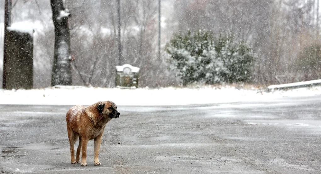 Καιρός: Στην «κατάψυξη» όλη η χώρα σήμερα – Πόσο θα πέσει η θερμοκρασία και πού θα χιονίσει