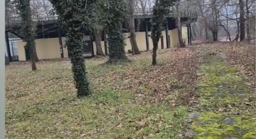 Σε εξέλιξη η μελέτη αξιοποίησης για το «δασάκι» – Διαβεβαιώσεις για συνέπεια στις δεσμεύσεις