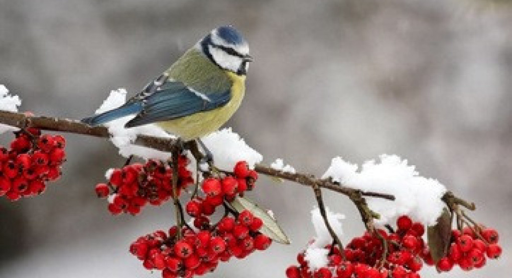 Καλό μήνα Φεβρουάριο!
