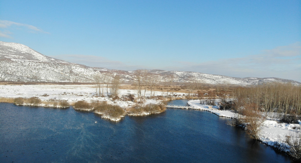 Υδροβιότοπος Άγρα Βρυτών Νησίου – Ένας ζωντανός φυσικός θησαυρός της Έδεσσας