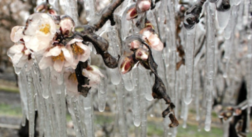 Δήμος Πέλλας: Τα πορίσματα ΕΛΓΑ στη διάθεση των ενδιαφερομένων