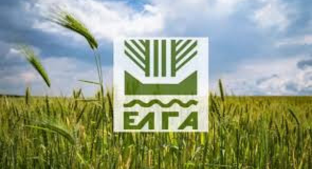 Πληρωμή 6,4 εκ. €, σε δικαιούχους παραγωγούς, των οποίων οι καλλιέργειες επλήγησαν από τον Παγετό Άνοιξη 2025