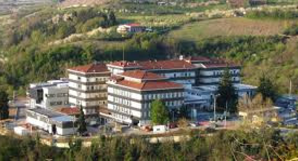 Γ. Ν. Έδεσσας -﻿«Προσωρινή Αναστολή Επισκεπτηρίου»