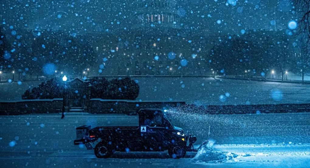 ΗΠΑ: Xάος στις μεταφορές, πολικές θερμοκρασίες στη Φλόριντα ρίχνουν ιγκουάνα από τα δέντρα