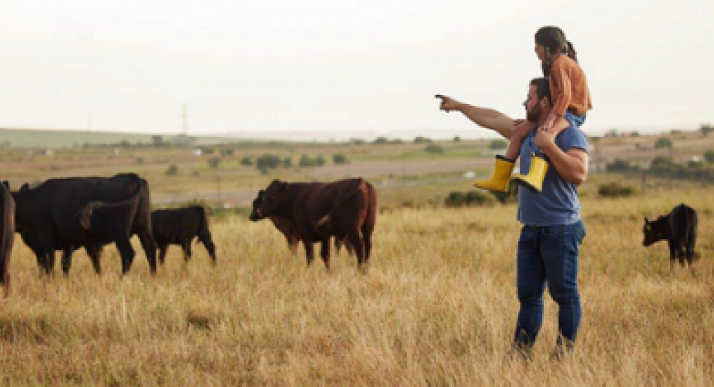 Συστάσεις για την κληρονομική διαδοχή των αγροτικών εκμεταλλεύσεων λόγω πρόωρης συνταξιοδότησης