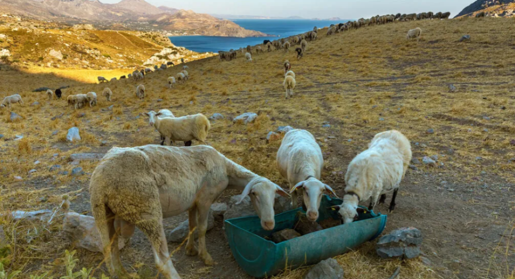 Ο επίτροπος Βαρχέλι εκθέτει ξανά την Αθήνα για την ευλογιά