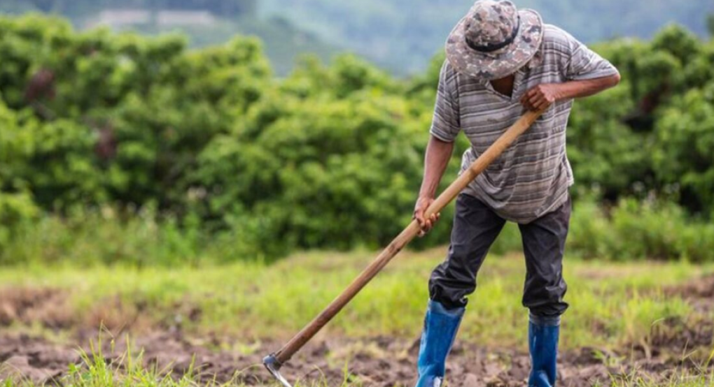 ΝΕΑ ΑΓΡΟΤΩΝ: 3 Πληρωμές στο 20ήμερο – 50€/στρέμμα για μικρούς αγρότες + Βάμβακος και Αγροπεριβαλλοντικά εκτός “κόφτη” ΚΑΠ