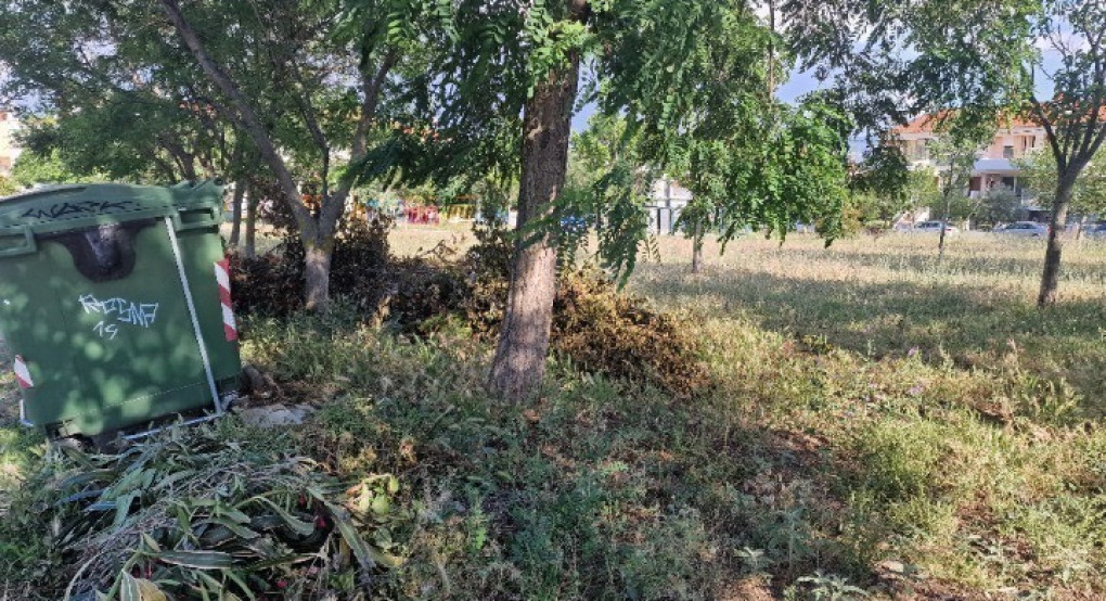 Τι αλλάζει στους καθαρισμούς των οικοπέδων με το νομοσχέδιο «Ενεργή Μάχη»