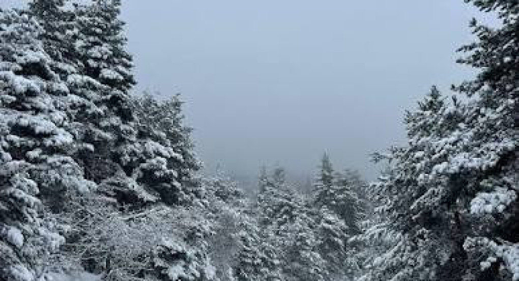 Αίσιο τέλος στην υπόθεση αγνοούμενου στο Καϊμάκτσαλαν – Βρέθηκε σώος ο 31χρονος