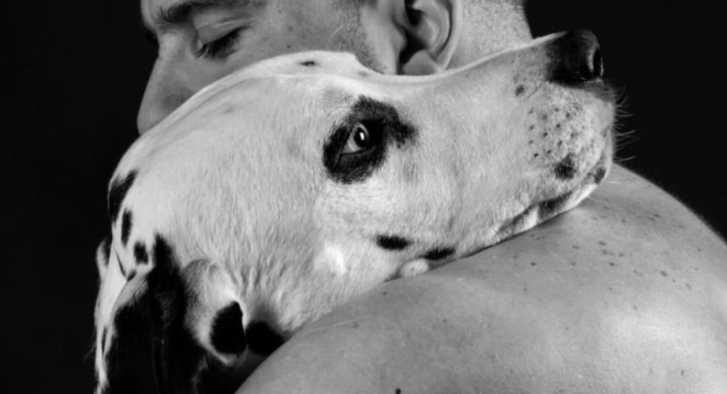 Δημήτρης Χατζησαΐας: Η δύναμη του γηπέδου και η τρυφερότητα για τον πιστό του Δαλματία