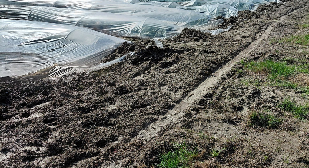 Μεγάλες καταστροφές σε αγροτικές καλλιέργειες από τους ισχυρούς ανέμους στην Πιπεριά Αλμωπίας