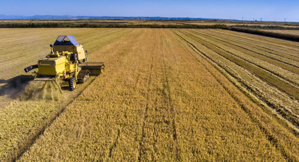 Λήγει η προθεσμία για την ανανέωση εγγραφής στο  Μητρώο Εμπόρων Νωπών Οπωροκηπευτικών (ΜΕΝΟ)