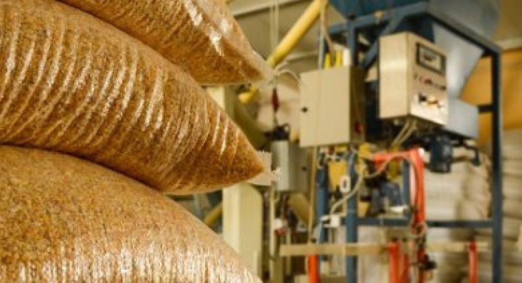 Σε οικονομική κατάρρευση οδηγούνται οι επιχειρήσεις ζωοτροφών από την ευλογιά που έχει αφανίσει το ζωικό κεφάλαιο