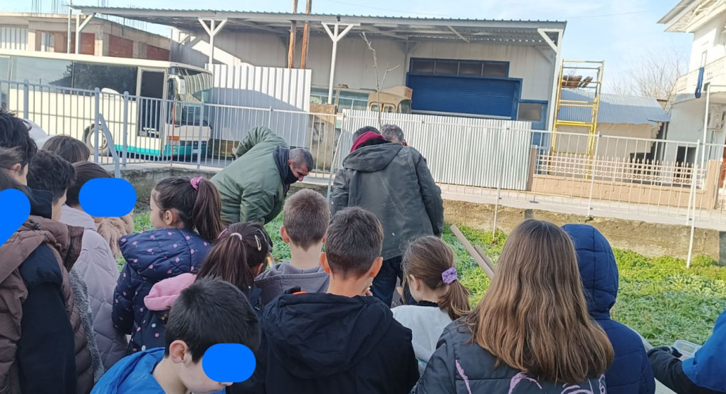 1ο Δημοτικό Σχολείο Κρύας Βρύσης- Περιβαλλοντική δράση δενδροφύτευσης