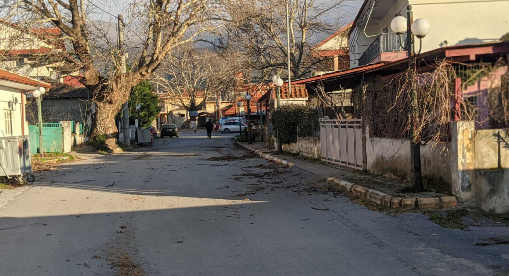 Μεγάλες καταστροφές στο Νεοχώρι Αλμωπίας από τους ισχυρούς ανέμους – Για ώρες χωρίς ρεύμα το χωριό