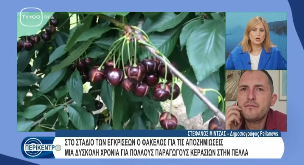 Στην εκπομπή «Περικεντρο»: Ο δημοσιογράφος Στέφανος Μίντζας για τις αποζημιώσεις στα κεράσια της Πέλλας