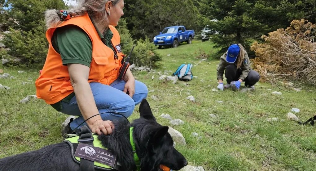Αλυσίδα θανάτου στην ελληνική ύπαιθρο: 92 ζώα νεκρά από δηλητηριασμένα δολώματα