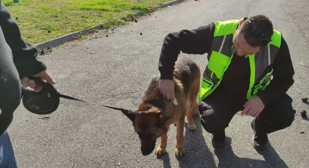 Θεσσαλονίκη: Πρόστιμα για βόλτα χωρίς… λουρί