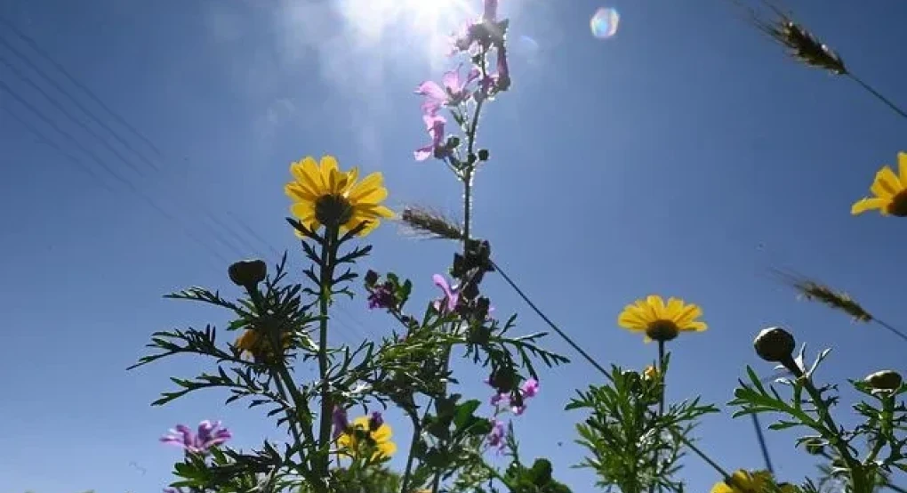 Καιρός: Ανοιξιάτικο σκηνικό στην αρχή της εβδομάδας – Ήλιος και άνοδος θερμοκρασίας - Πού αναμένονται βροχές