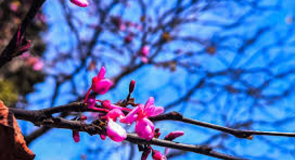 Καιρός: Αίθριος με τοπικές βροχές - Στους 18 βαθμούς ο υδράργυρος