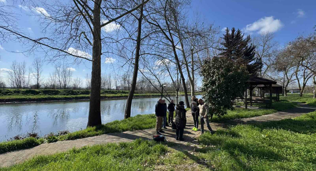 Παρέμβαση του Δήμου Πέλλας για την αποτροπή εξάπλωσης έλκους πλατάνου στο Λουδία