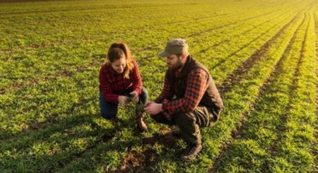 Στα 23 εκατ. € οι εκκρεμείς πληρωμές για την χρήση συμβουλευτικών υπηρεσιών στον γεωργικό τομέα
