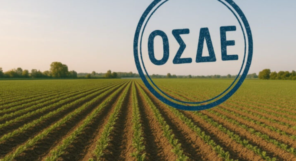 ΒΟΜΒΑ ΓΙΑ ΟΣΔΕ 2026: Νέο σύστημα ελέγχων, πίεση για παράταση Monitoring και κρίσιμες πληρωμές πριν το Πάσχα από ΟΠΕΚΕΠΕ- ΑΑΔΕ