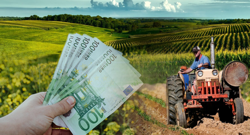 Daniel: Καλοκαίρι η εξόφληση του 40% για το φυτικό κεφάλαιο – Χαλαρό πλαίσιο αποζημιώσεων